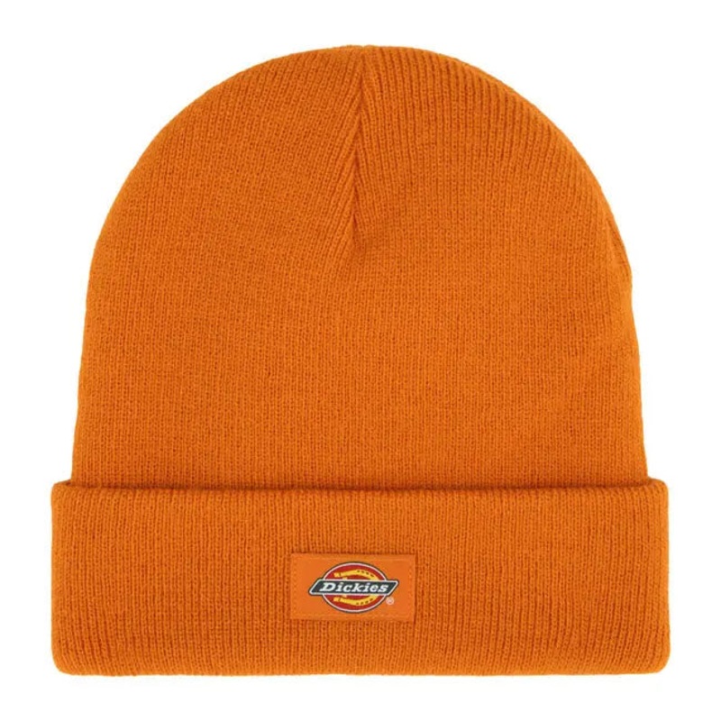 Dickies Gibsland Beanie Autumn Maple